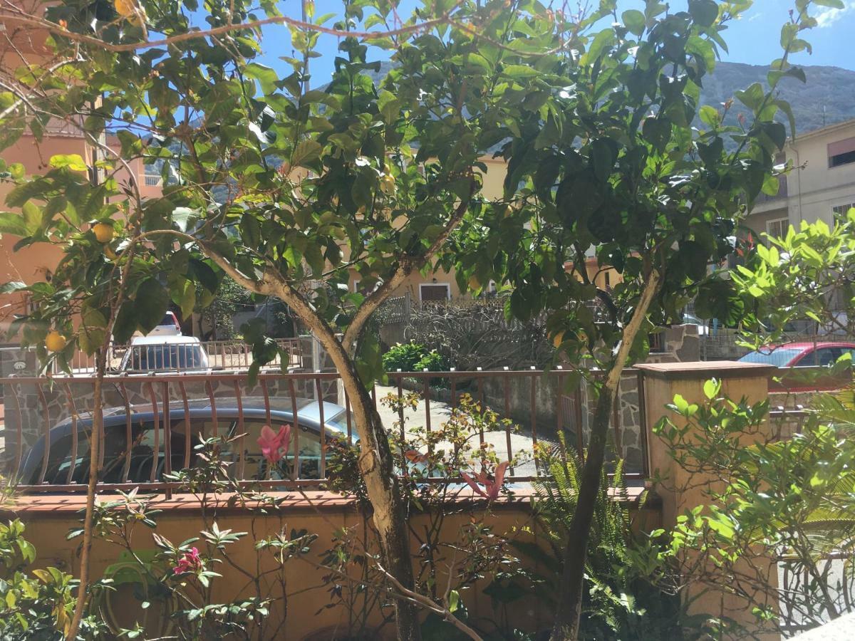 Casa Elena Apartment Dorgali Ngoại thất bức ảnh